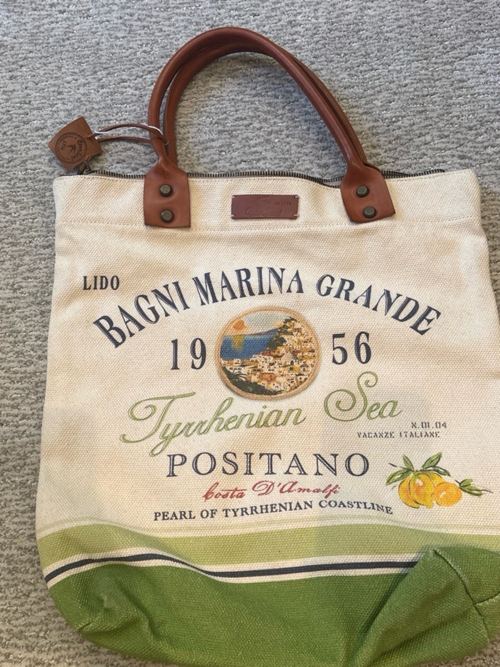 Positano Canvas Tote with Brown Leather Handles - Green & Cream
